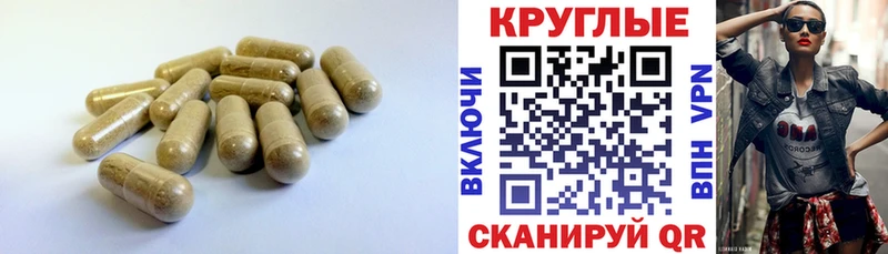 Ecstasy Punisher  Санкт-Петербург 