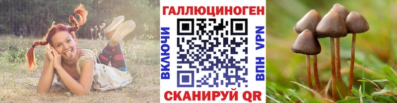 купить наркоту  Санкт-Петербург  Псилоцибиновые грибы MAGIC MUSHROOMS 